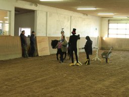 img_7834_web